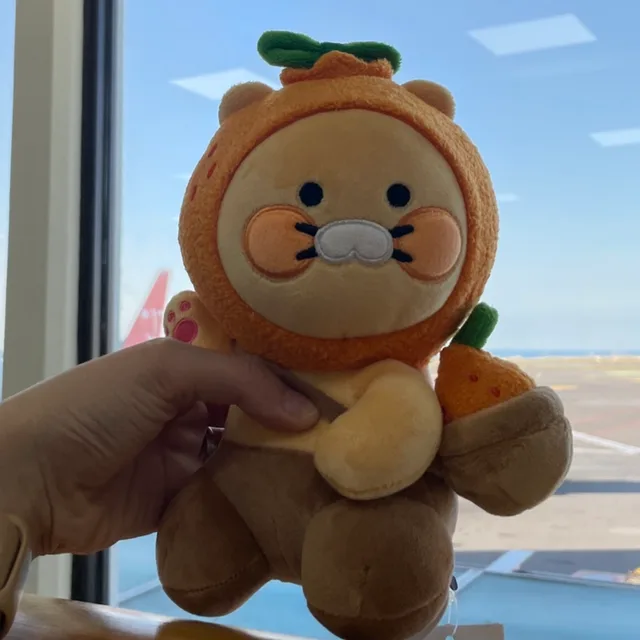 감귤라이언
