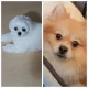 초원바다맘