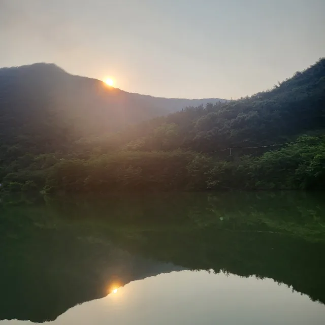 네리소나