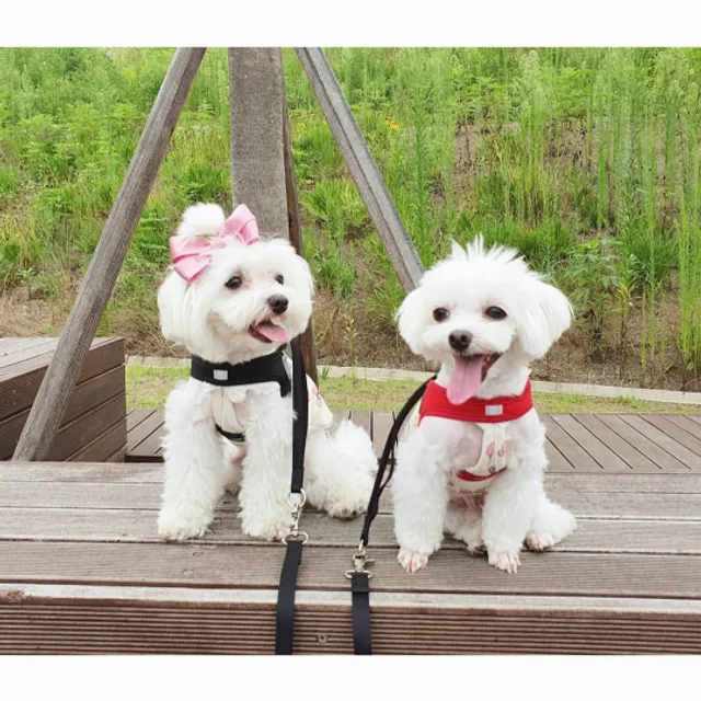 초록별