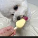 당근호