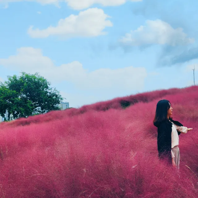 몽그리