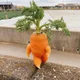 당당한당근