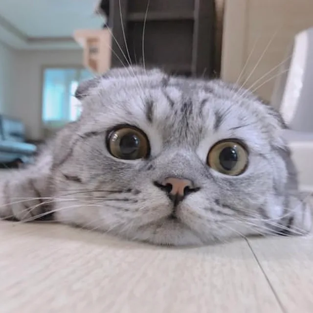우룽