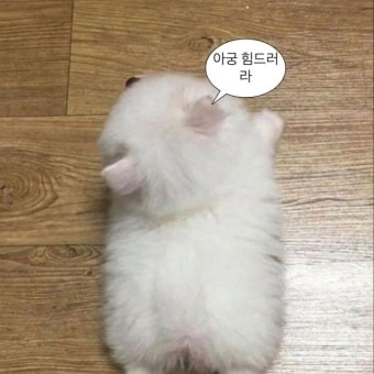 많이사주시면깎아드려요