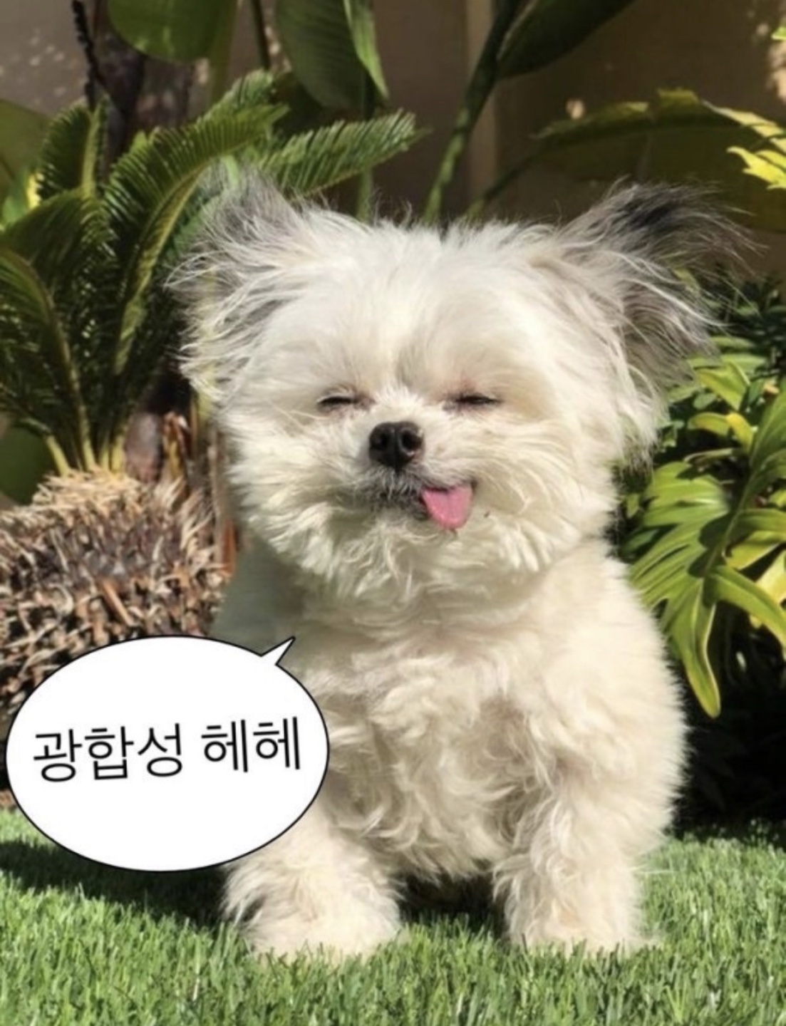 귀여운게죄라면난무기징역