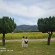 봉아빠