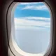 김제니