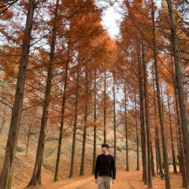 빅곰
