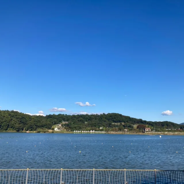 푸름이