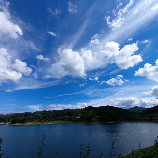 부동산대통령