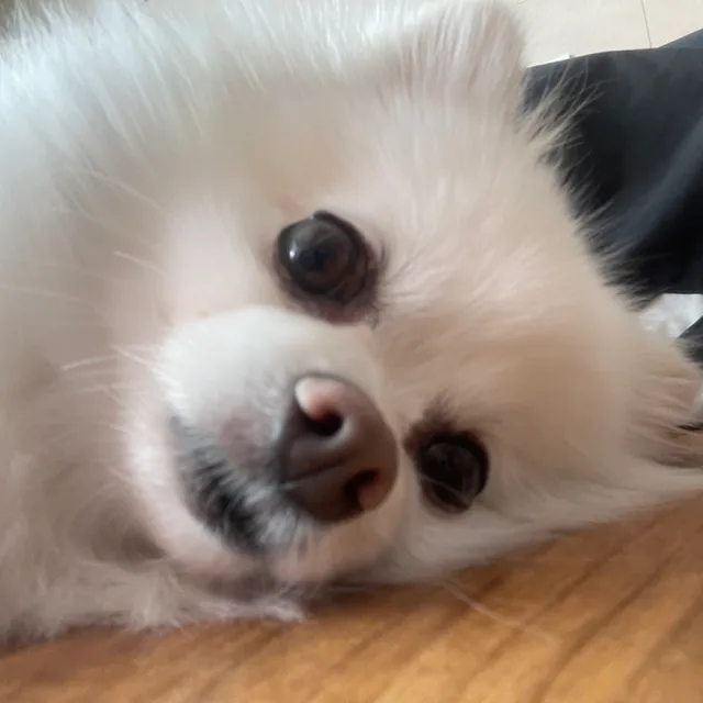 김민자
