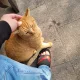 파란만장