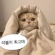 이불냥