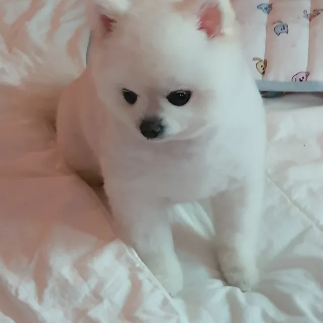 겨울졸업