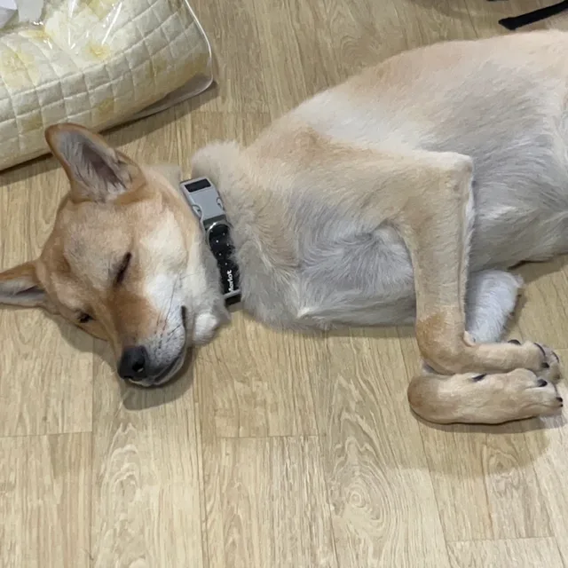 헬롱