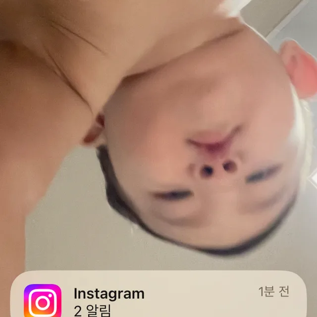똥쭈니