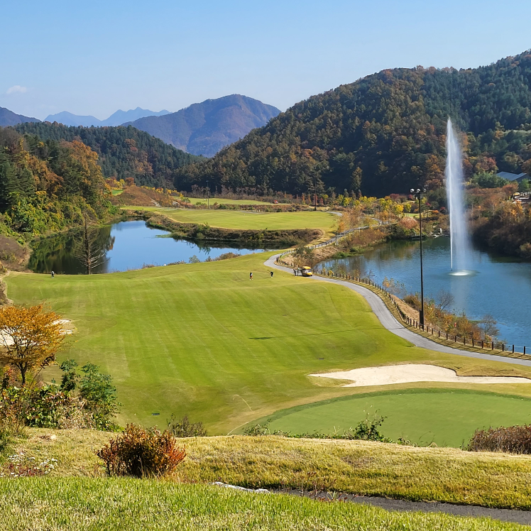 yasumi