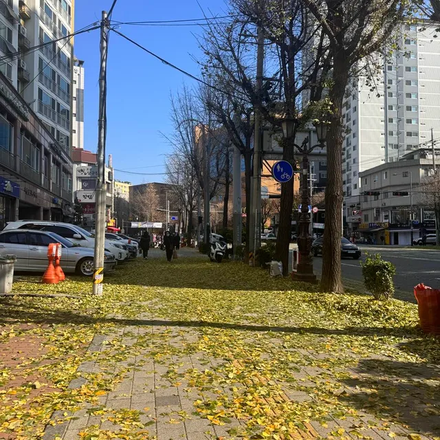 은평구희