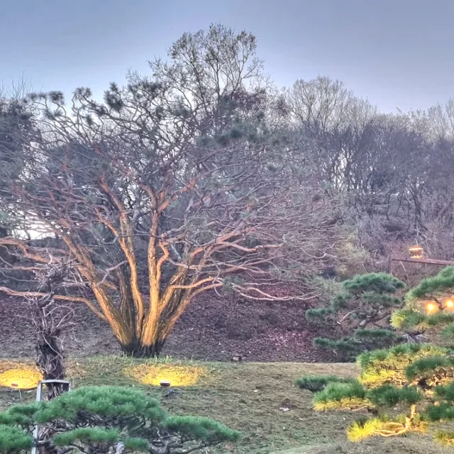 나윤슬