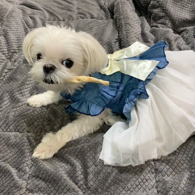 둠칫두두둠칫