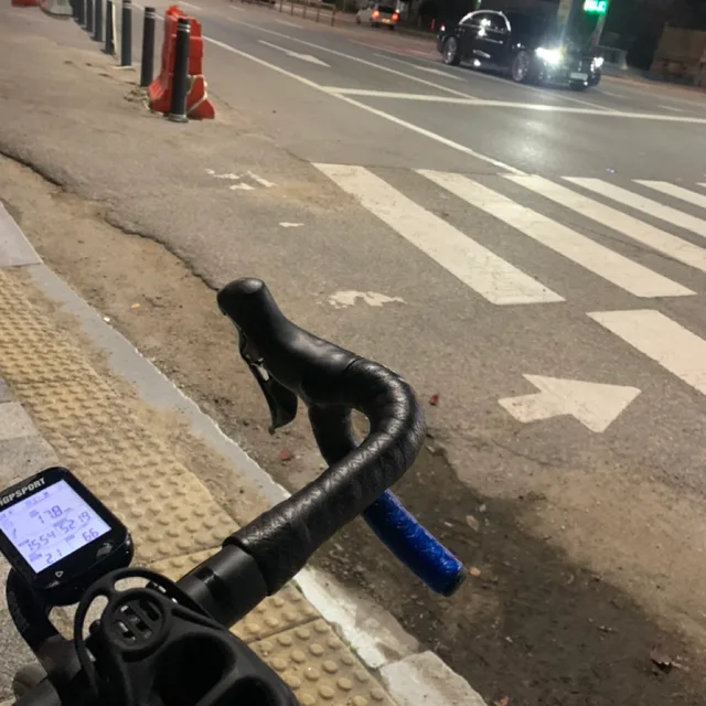 파랑이조아