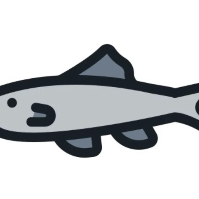 큰멸치
