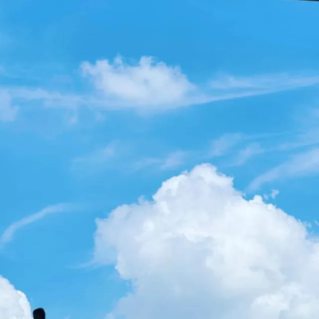슬라임