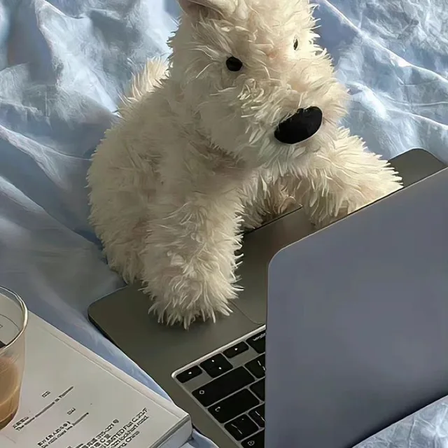 맹뿡