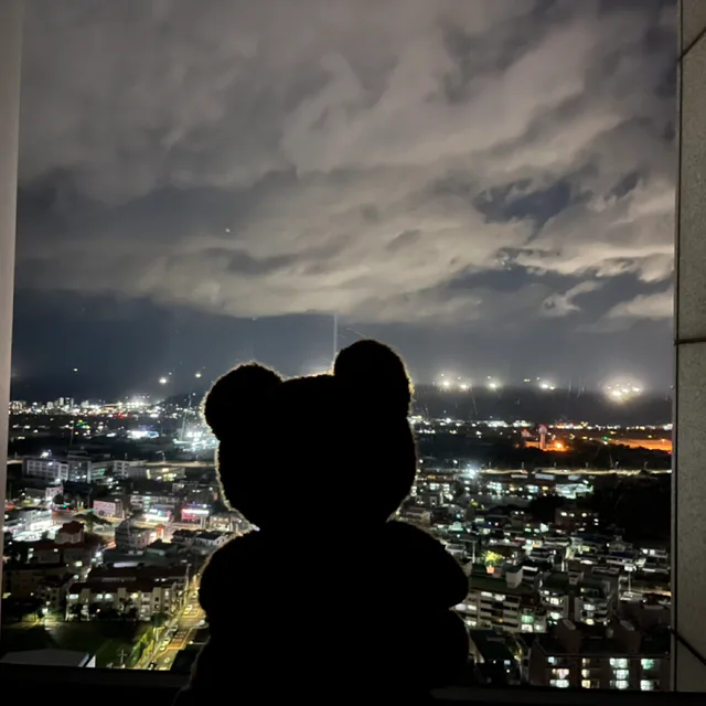 꿈꾸는곰돌이