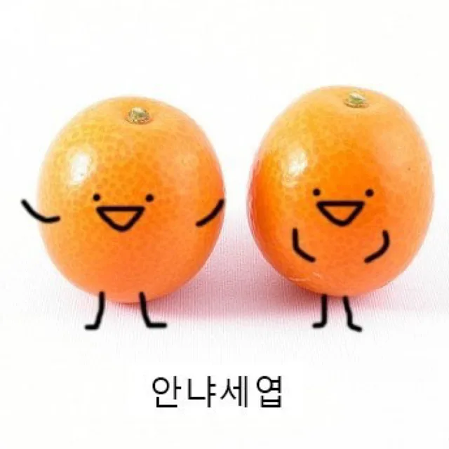 낑깡쓰