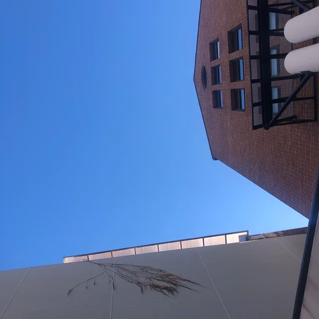 당근라페