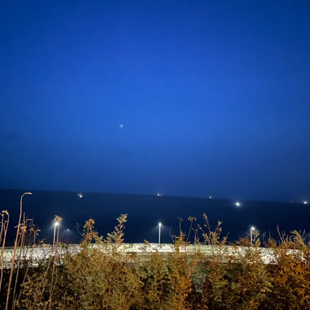 블루문