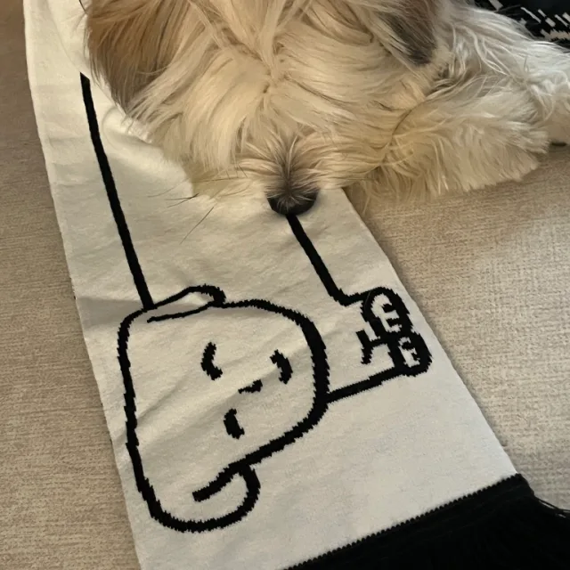 당슨
