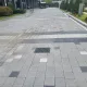 새요