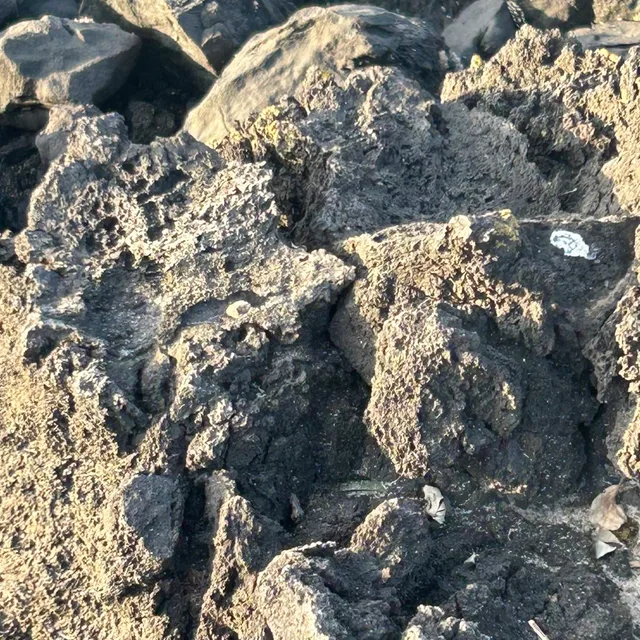 Stone