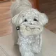 우유누나