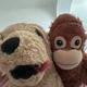 스턴건
