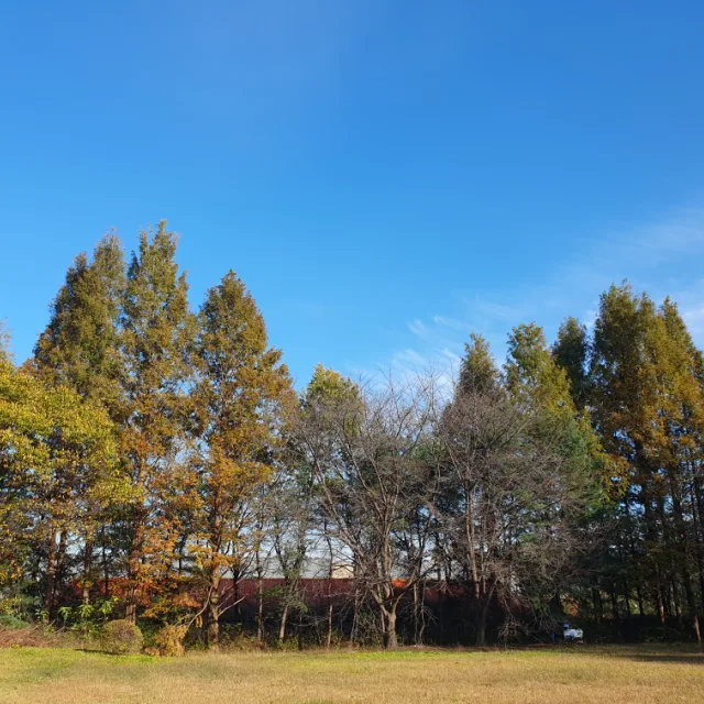 비우기