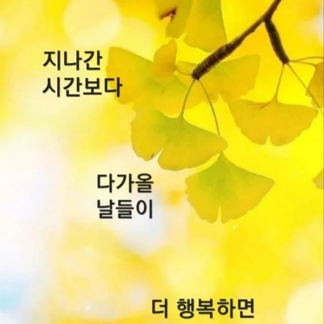 햇빛촌