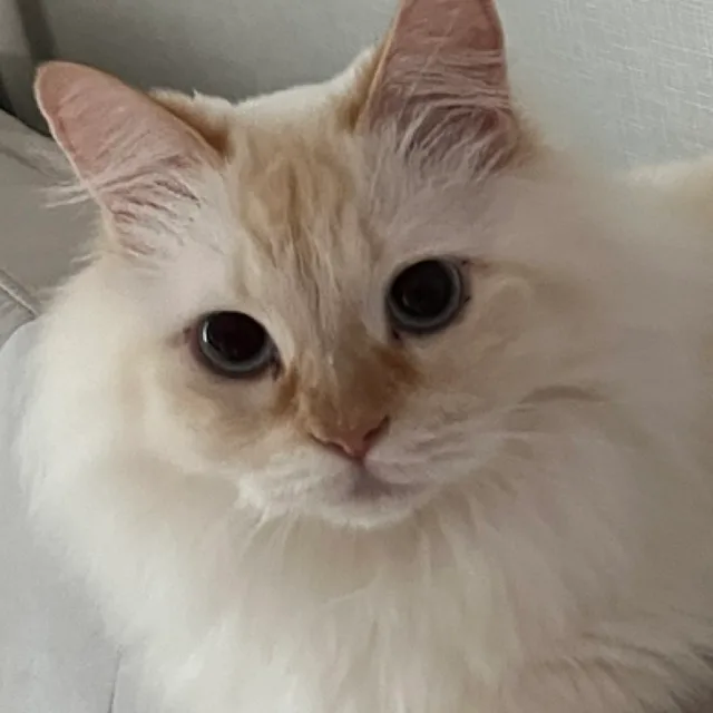 꿍꿍
