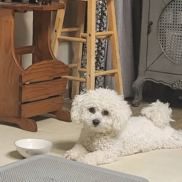 경이