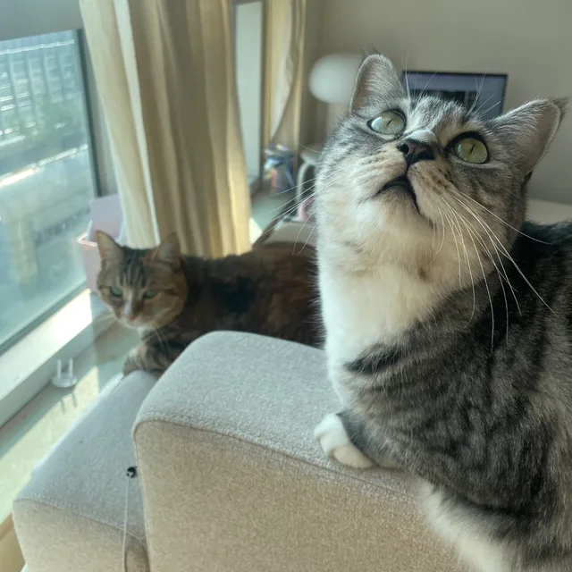 뚀오