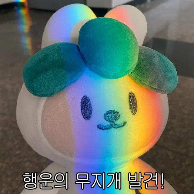 쿵야