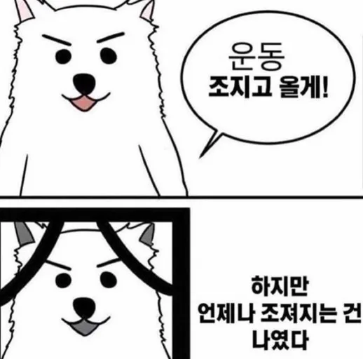 아엠유