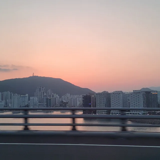 파도