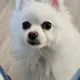 별이