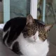 뭉크
