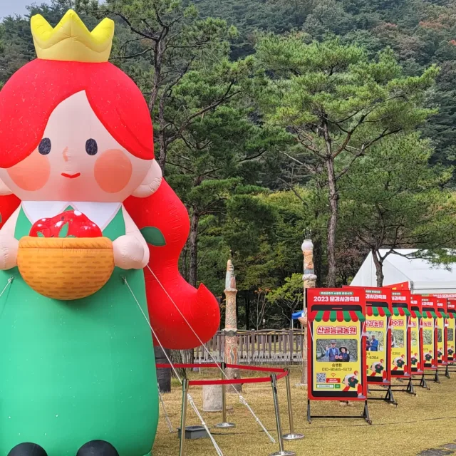멍순