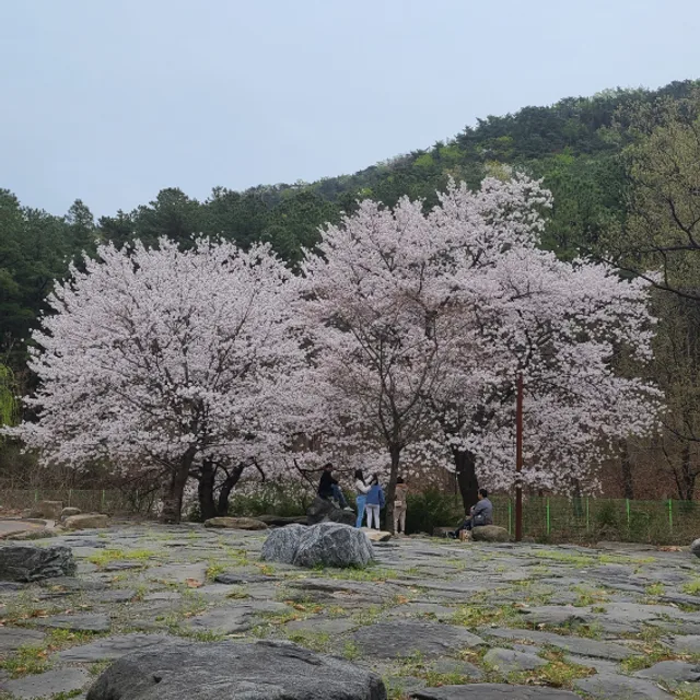 당근에꽃녀